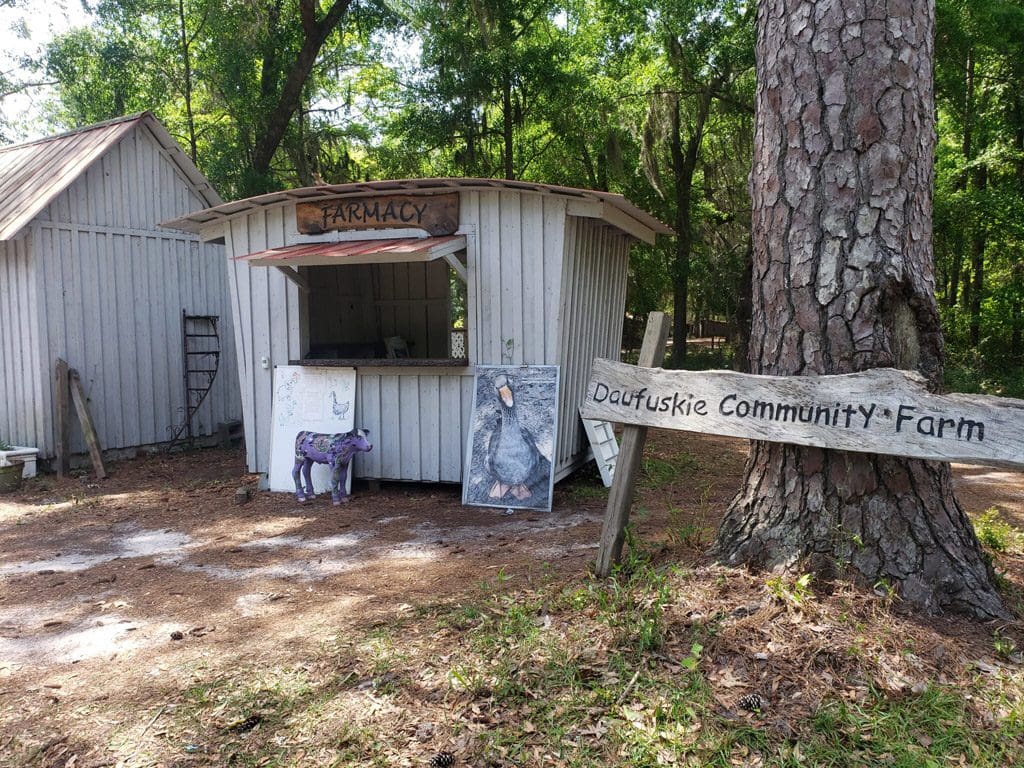 Community farm and Farmacy