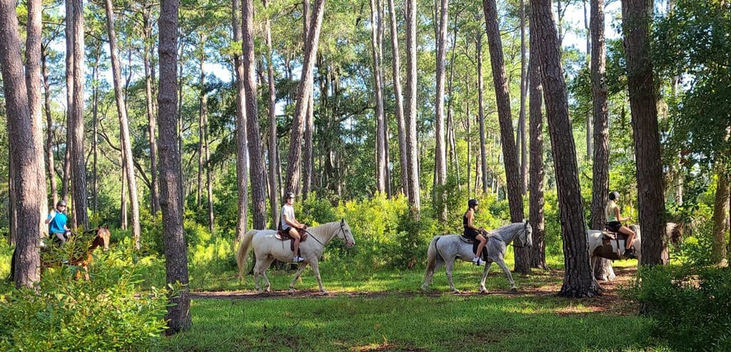 Saddle up and hit the trail.