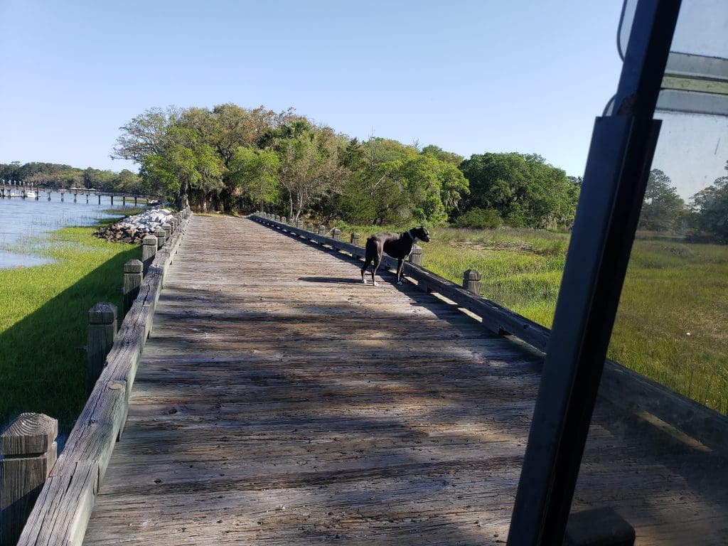 Bridge to Bloody Point Cemetery