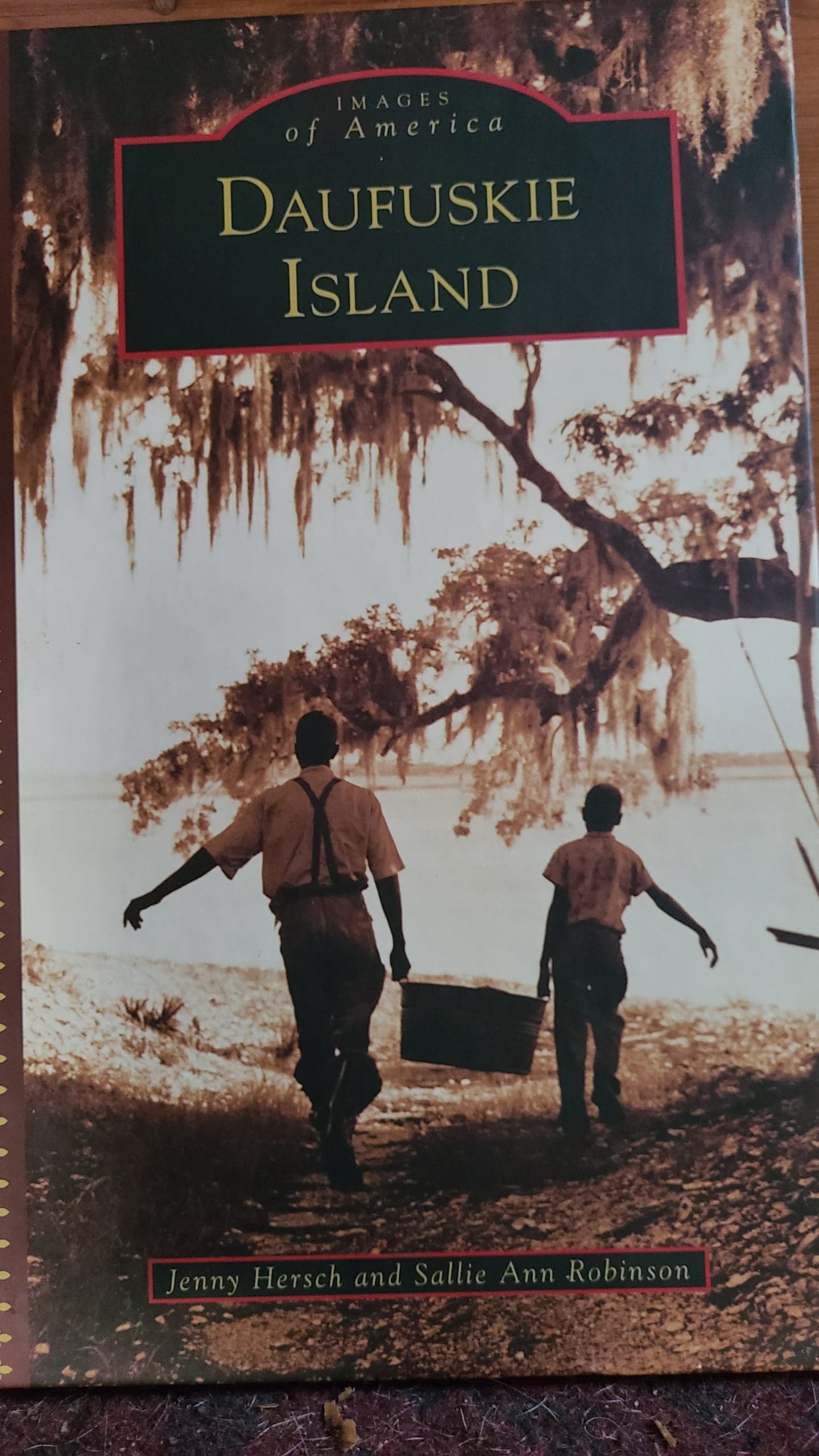 Sallie Ann's book -- an in-depth look into Gullah life 