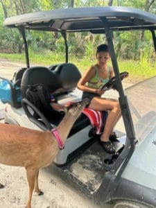 Interact with local "wild"life.( Note: This unlicensed girl is just sitting in the driver's seat, NOT driving the cart,)